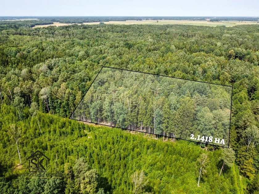 Miškų ūkio sklypas: 2.1418 ha neribotoms galimybėms!