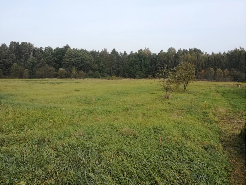  1,7 ha žemės sklypas prie Šilutės – gamtos ramybė