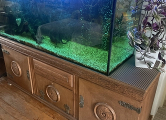 Akvariumas Parduodu: didelis 450L už 300 eurų