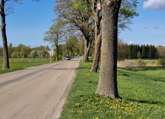 Naujame kvartale – tavo svajonių namai!