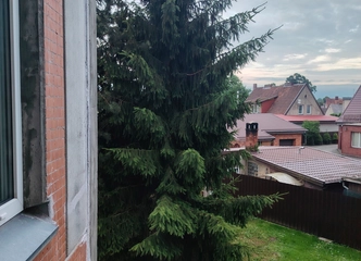 Butas su kapitaliniu remonto ir erdviais kambariais ||
