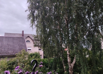 Šilutės patogus 2 kambariai su balkonais