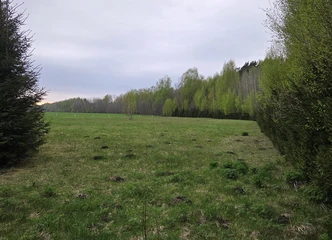 Ūkinės paskirties sklypas šalia miško – ramybė ir gamta!