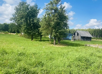 34 arų svajonių sklypas prie Kuršių Marių – jūsų namas gamtoje