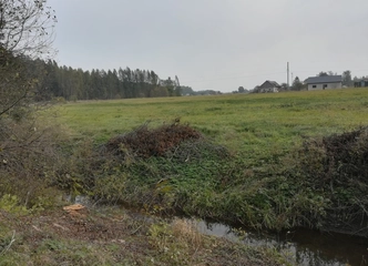 Rami vieta prie miško – puikus sklypas Šilutėje