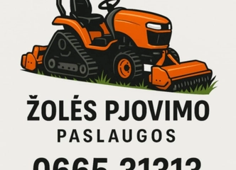 Žolės pjovimo paslaugos – greitas ir kokybiškas žolės tvarkymas||Aukštos žolės pjovimas mulčeriu – efektyvus sprendimas peraugusiai pievai||Pievų mulčiavimas – natūralus ir tvarkingas žolės atsikratymas||Apleistų pievų pjovimas – atgaivinkite savo pievos grožį||Žolės pjovimas trimeriu – tikslus ir išsamus žolės šalinimas